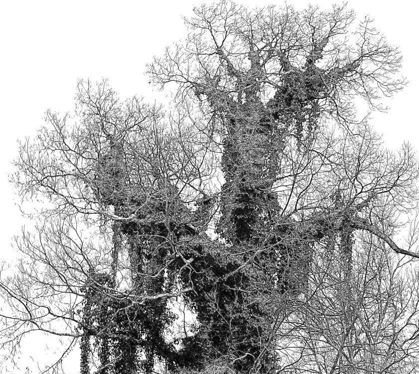 b61408256cfbbf4c3638e2f729776272