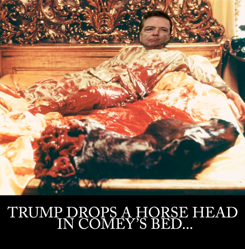 COMEYHORSEHEAD