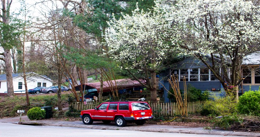 bptfullbloomwithJEEP